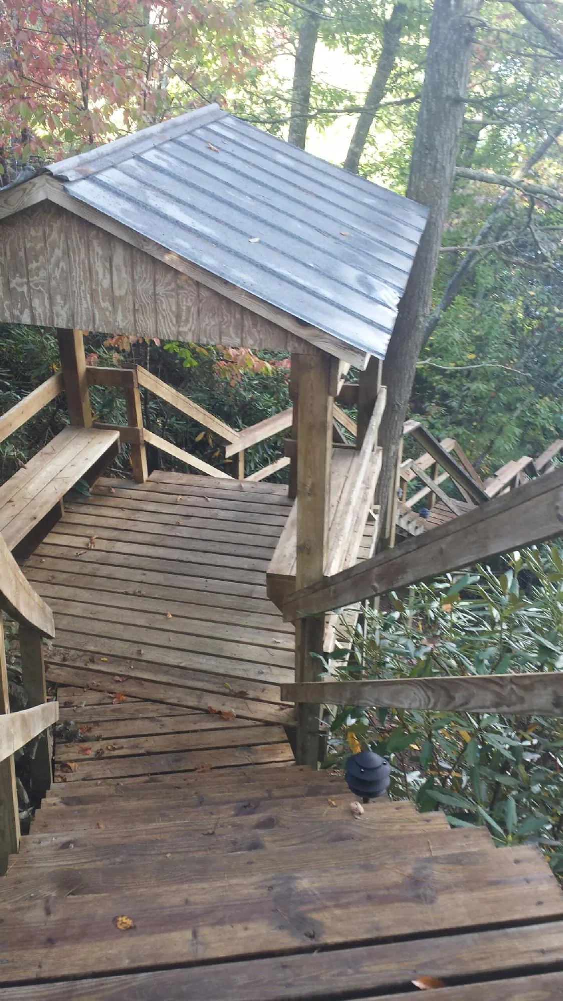 Metal roofed shelter over wooden steps on a wooded walkway — Skylight Repair & Installation work by our crew in Seligman